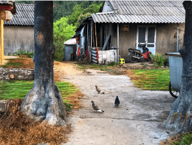 Bản Sì Thâu Chải