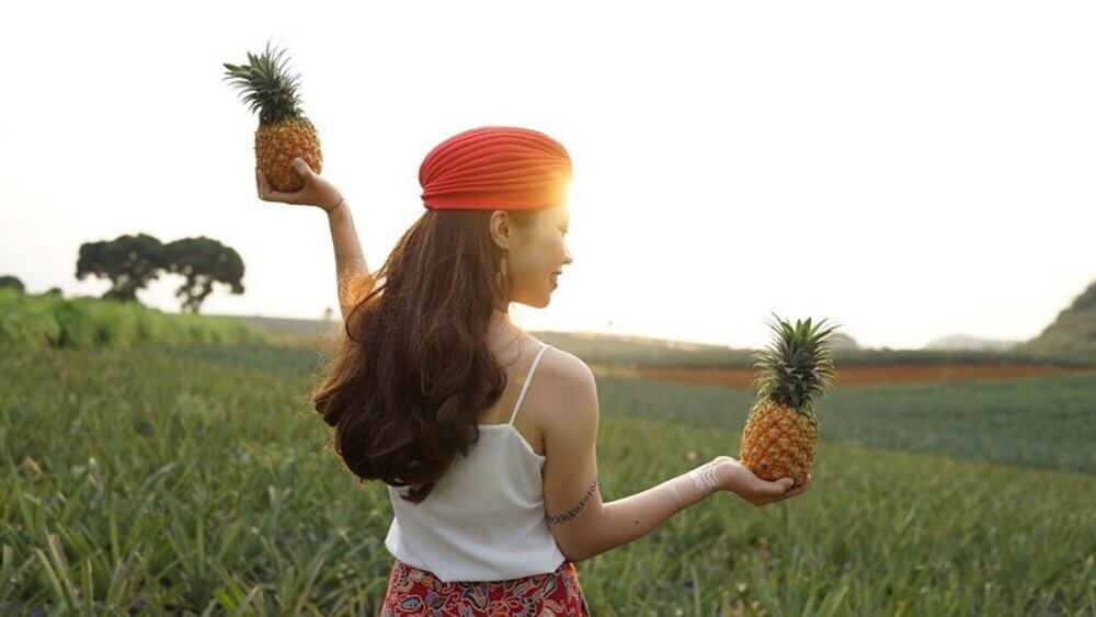 Đồi dứa Tam Điệp