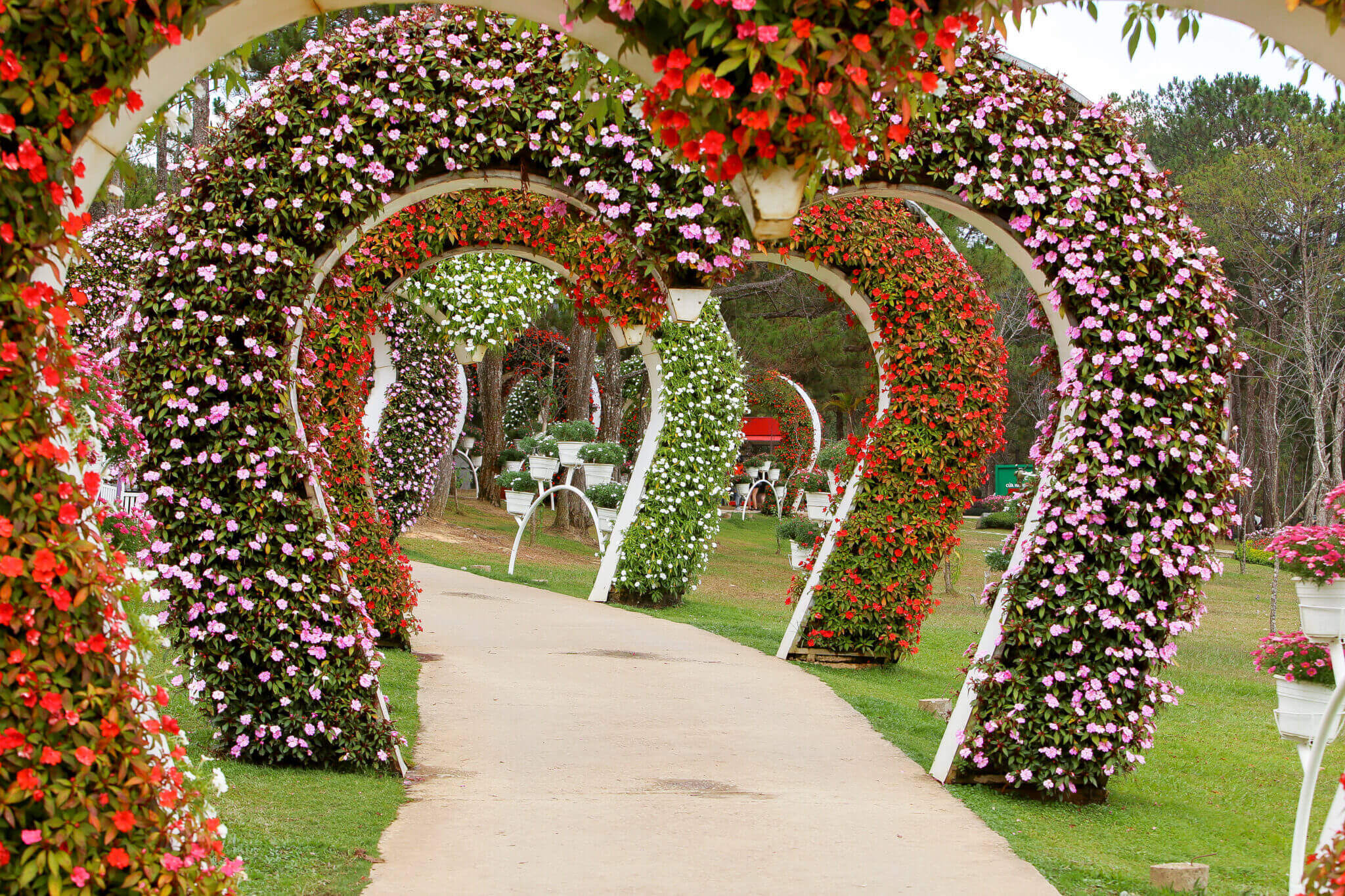 Thung Lũng Tình Yêu