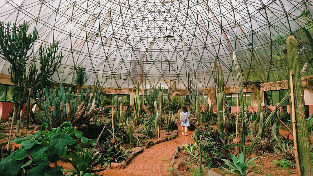 Na Hang tourist area