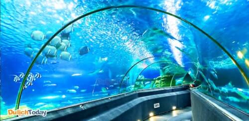 Viện Hải dương học Nha Trang