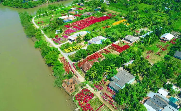 ココナッツランドにある有名な果樹園といえば、すぐにカイモンを思い浮かべる人も多いでしょう。