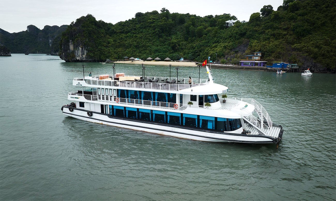   V드림 크루즈 5*