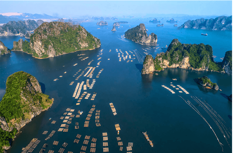 Làng chài Cửa Vạn