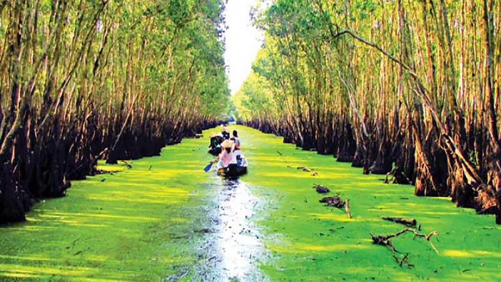 Rừng Tràm Trà Sư