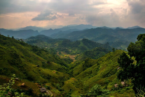 曇りの日の王国