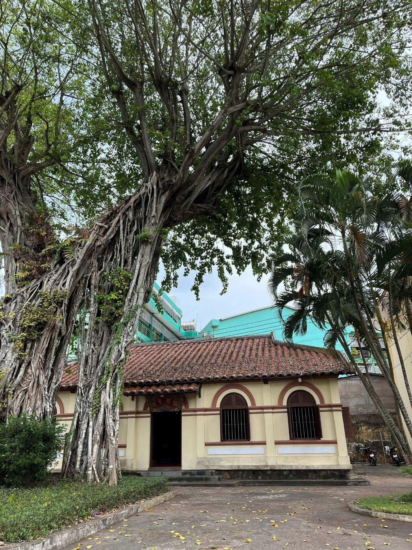 ヴィンロンに来たら絶対に外せない「チェックイン」スポット