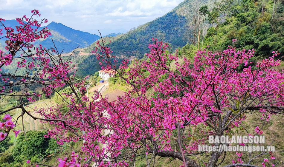 桃の鈴の色に夢中