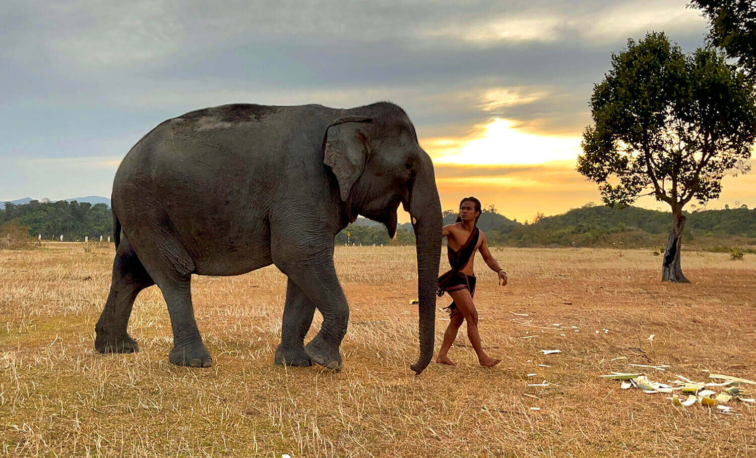 中央高原が一年で最も美しい季節を迎える