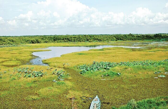 Khu bảo tồn sinh thái Đồng Tháp Mười