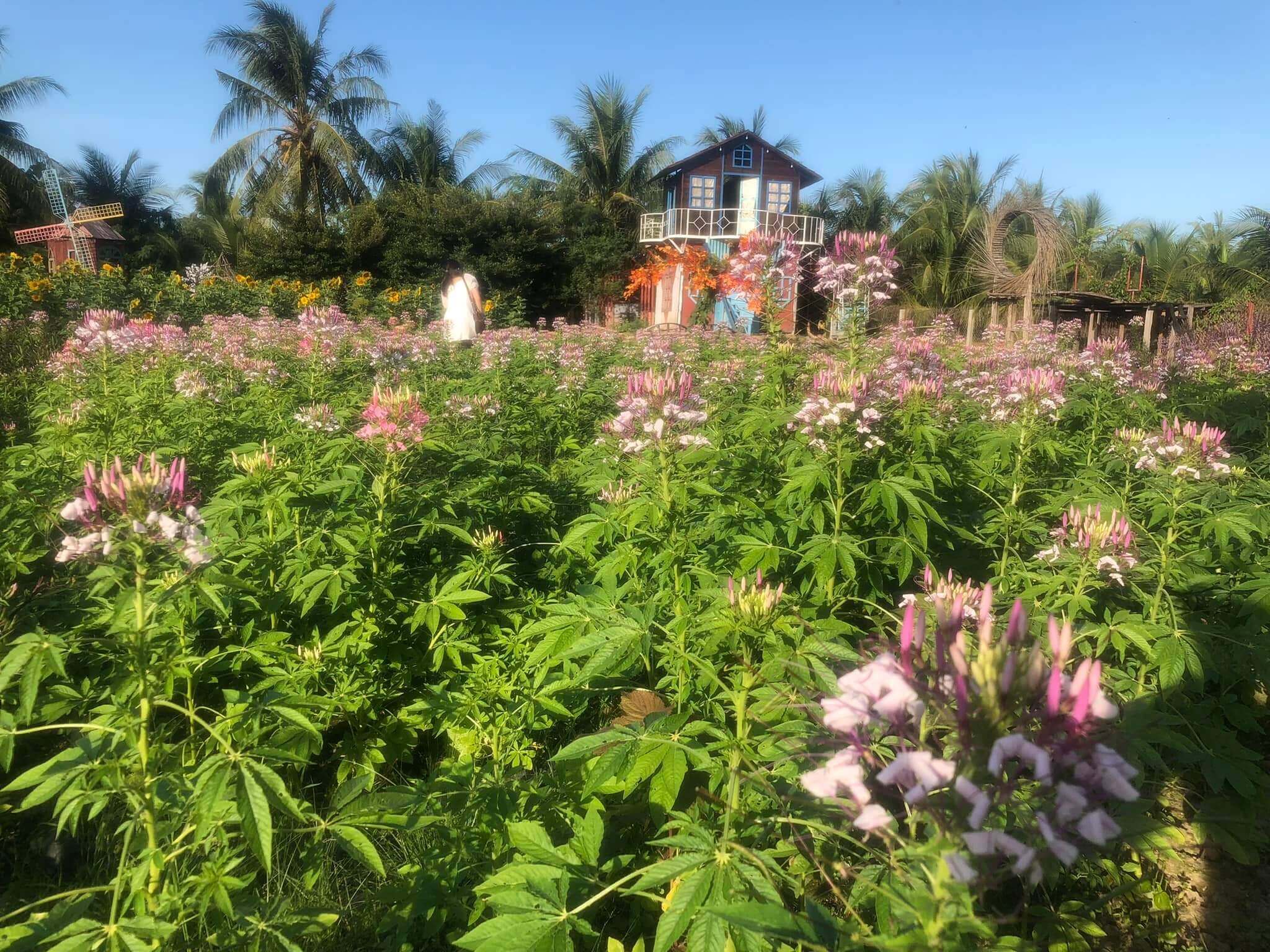 Bách Nhật Hoa Viên