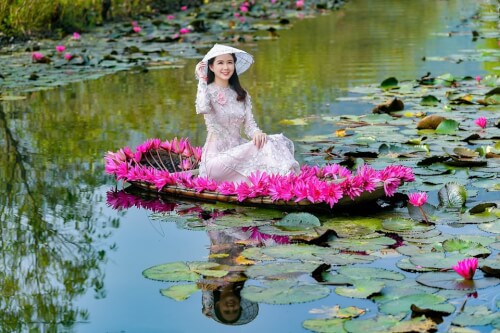 紫色の花で覆われた小川をチェックインするために観光客が「タンのチャンアン」に群がる