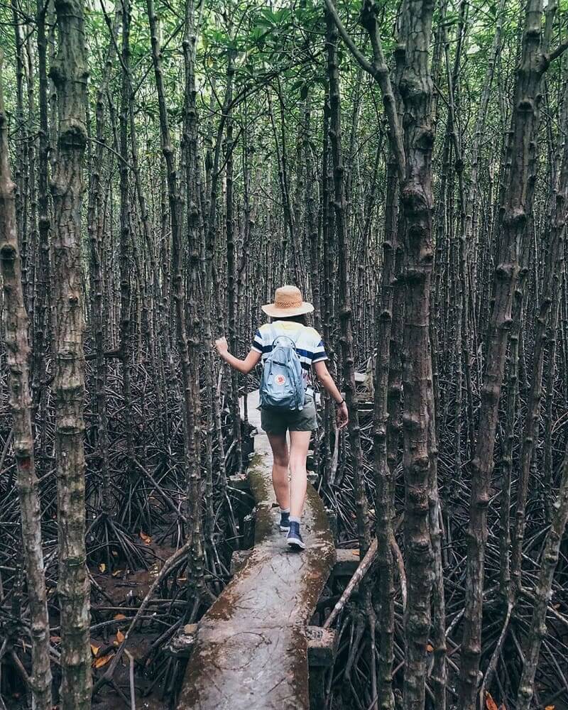 カンザーの最大の特徴はマングローブ林です。ここに来ると、さまざまな方法で自然の美しさを発見することができます。