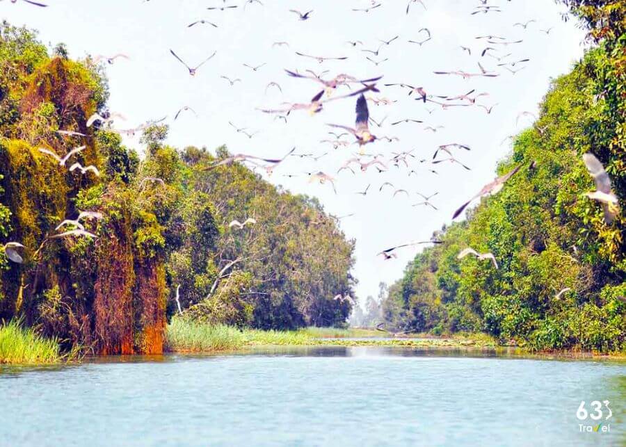 Cảnh đẹp tại khu bảo tồn ngập nước Láng Sen