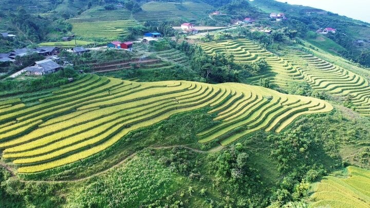 ムーの花が咲く季節にバッカンを訪れ、絵のように美しい景色に魅了される