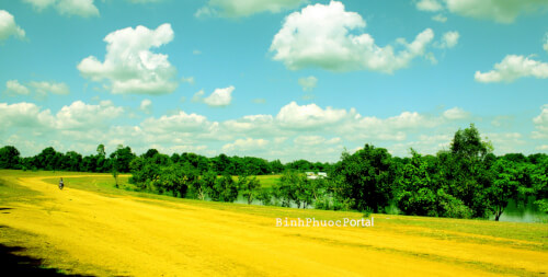 ブ ラック グラスランドの自然の美しさを発見
