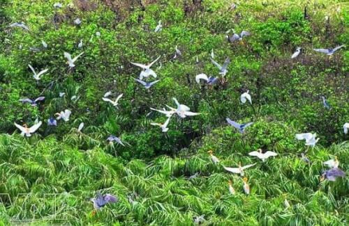 위에서 본 Bac Lieu 새 정원