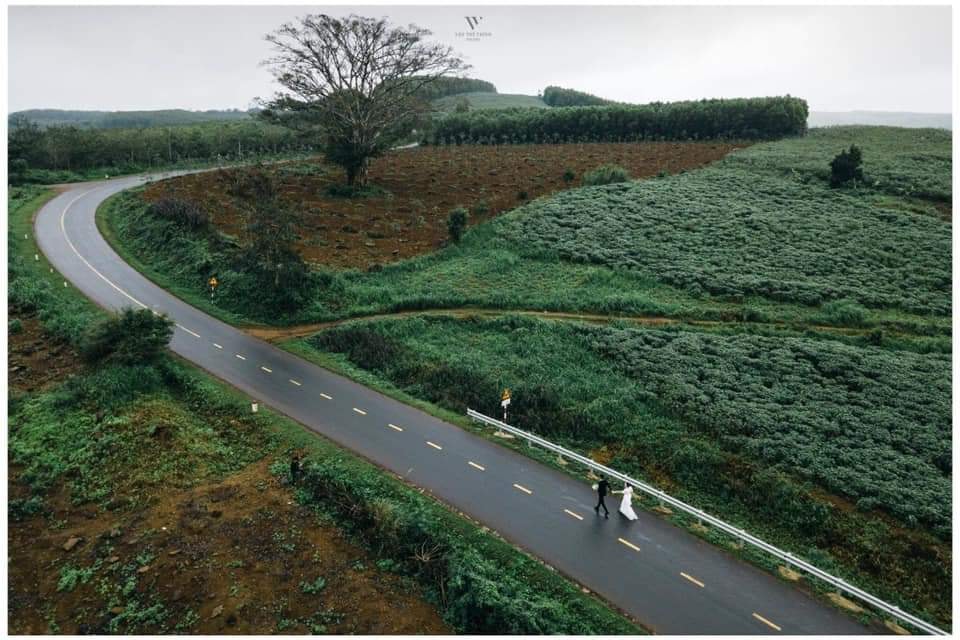 Cung đường đi rợp bóng cây nên không khí mát mẻ, dễ chịu lại trong lành