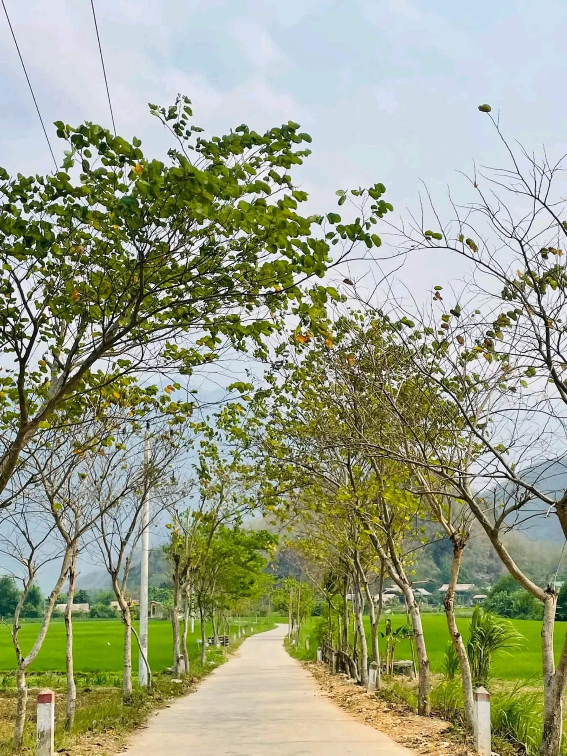 MAI CHÂU-ĐIỂM ĐẾN CỦA SỰ BÌNH YÊN