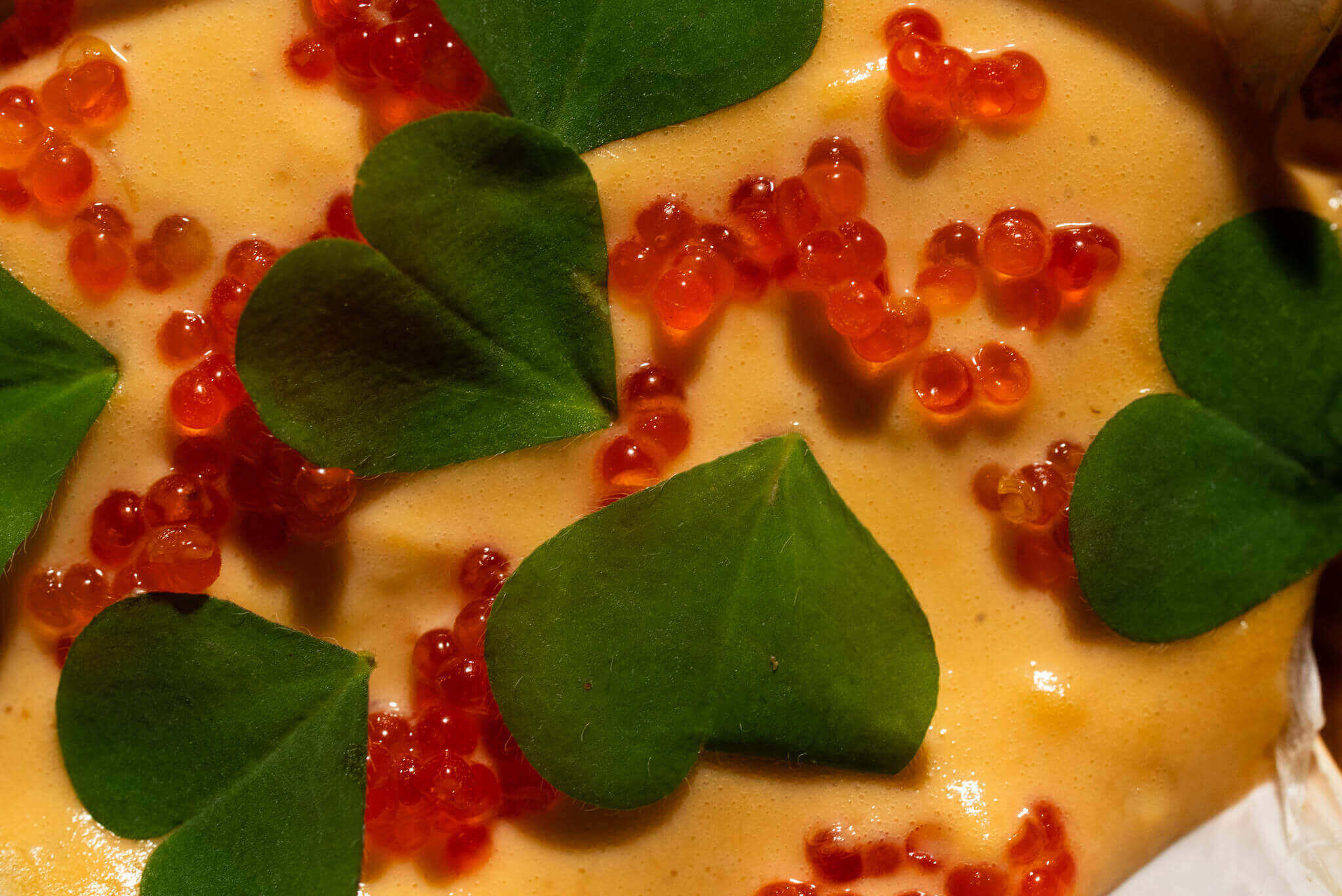 ダナン圧縮レストラン