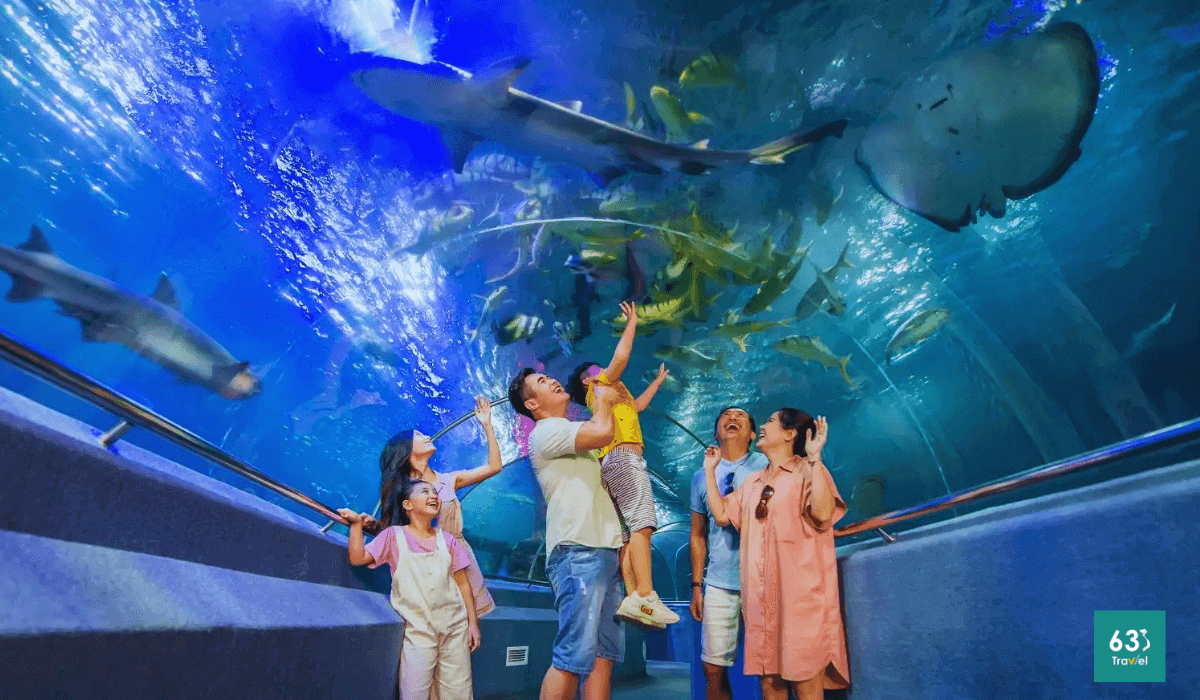 Bảo tàng Hải Dương Học Nha Trang - Đại dương thu nhỏ giữa lòng thành phố