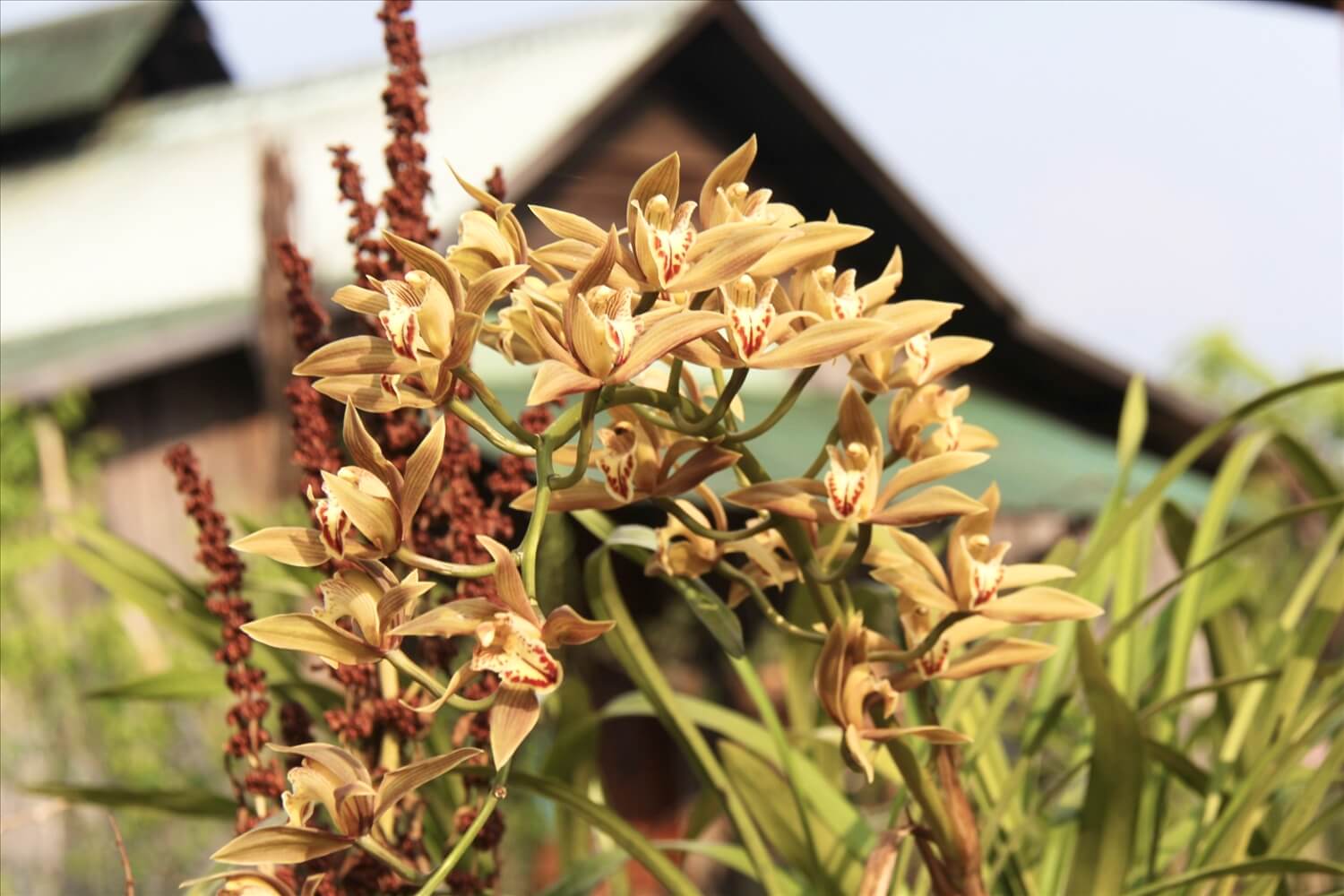 Làng du lịch cộng đồng Vi Rơ Ngheo