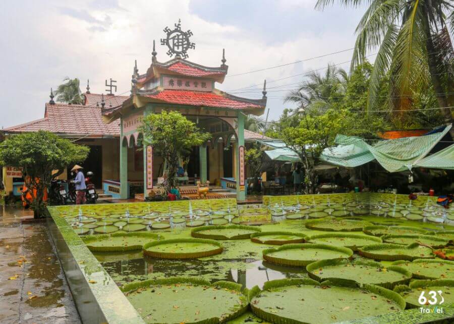 Chùa Lá Sen - điểm đến hot nhất miền Tây gần Tiền Giang