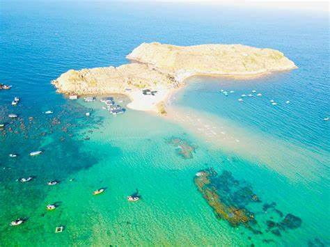 ホンコー - 青い海の楽園、風が強くさわやかな木々