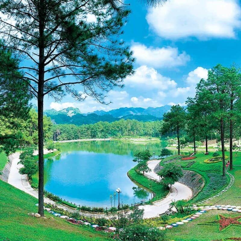 Cảnh quan tại rừng thông Bản Áng vào lúc đẹp nhất