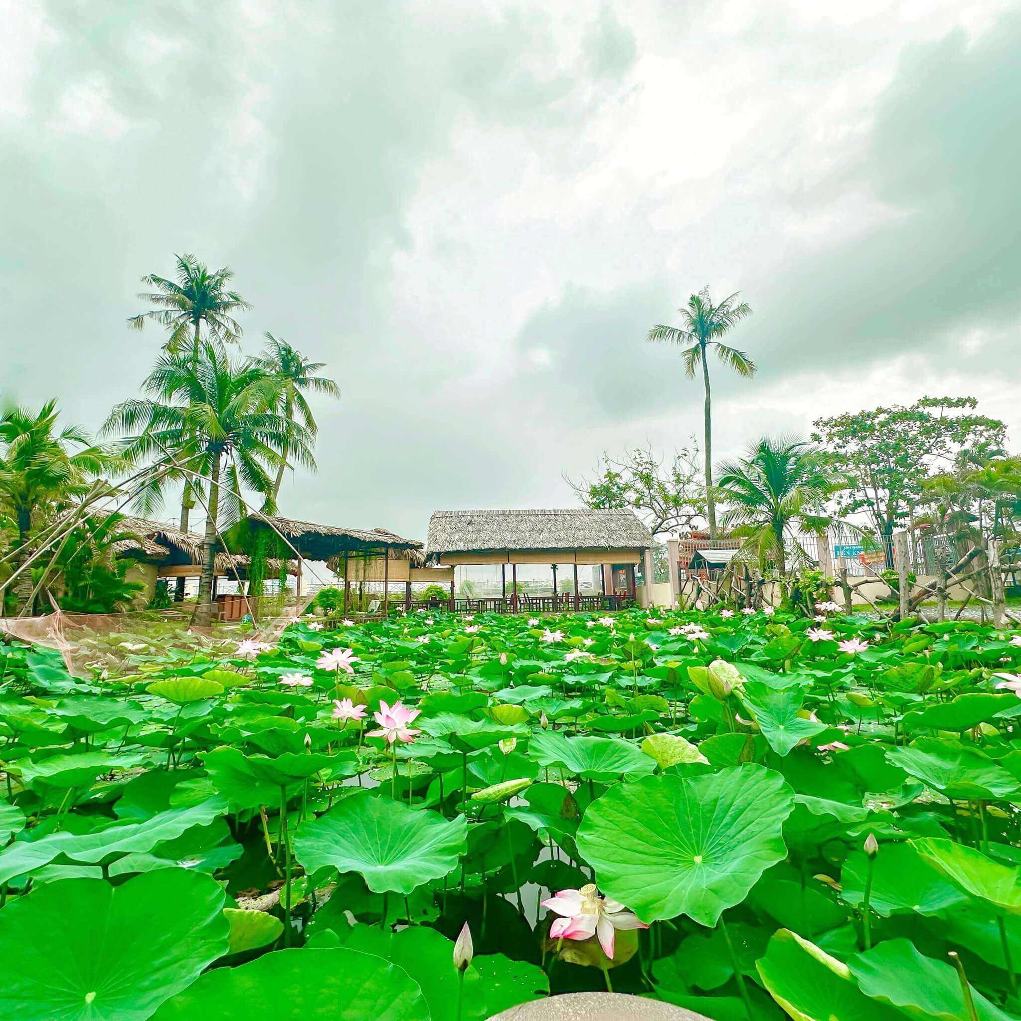 Khu du lịch sinh thái Bình Quới