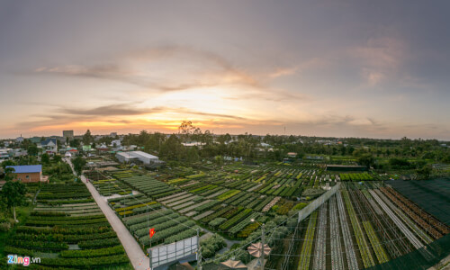 Hoàng hôn tại làng hoa Kiểng Sa Đéc