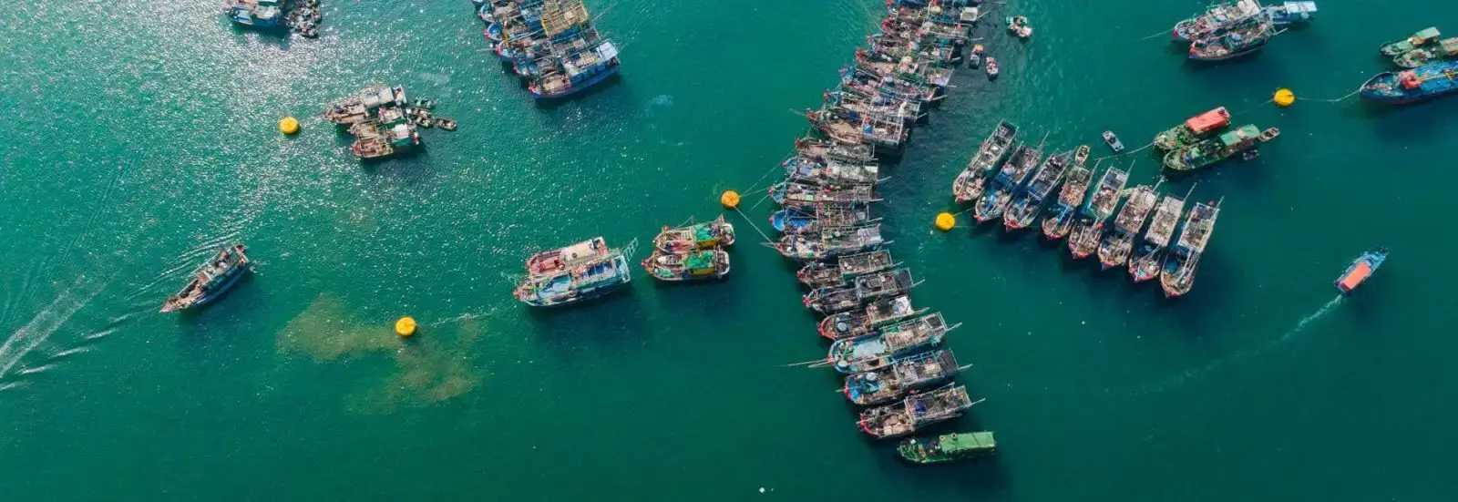 Trải nghiệm cuộc sống đậm chất ngư dân