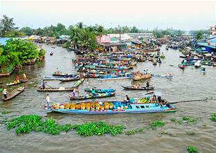 映画『サザン・フォレスト・ランド』で観光客が西部水上マーケットを「狩り」する