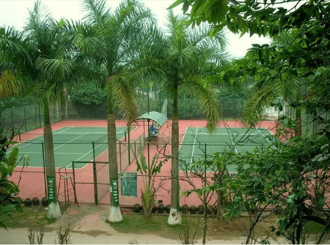 Khu du lịch sinh thái Cọ Xanh