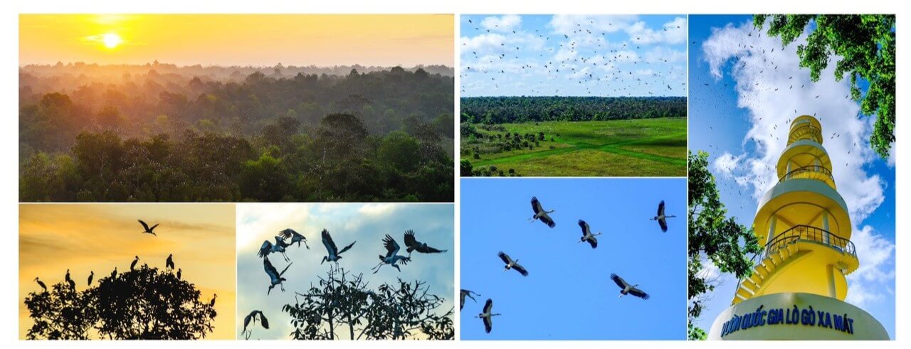 ここは、広大な自然の中で平和、静けさ、リラクゼーションを見つけるのに理想的な場所です。