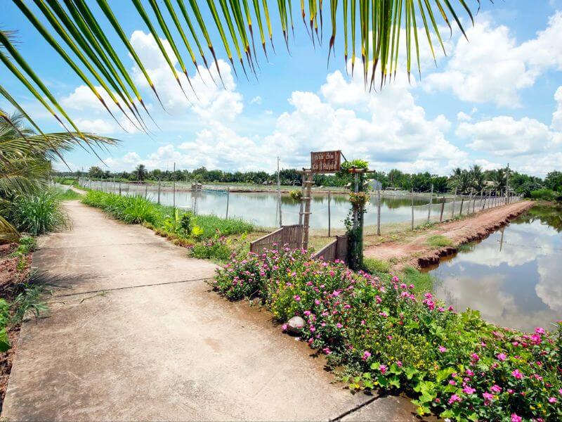 コン・チム・トラ・ヴィンの静かな南部の村の風景