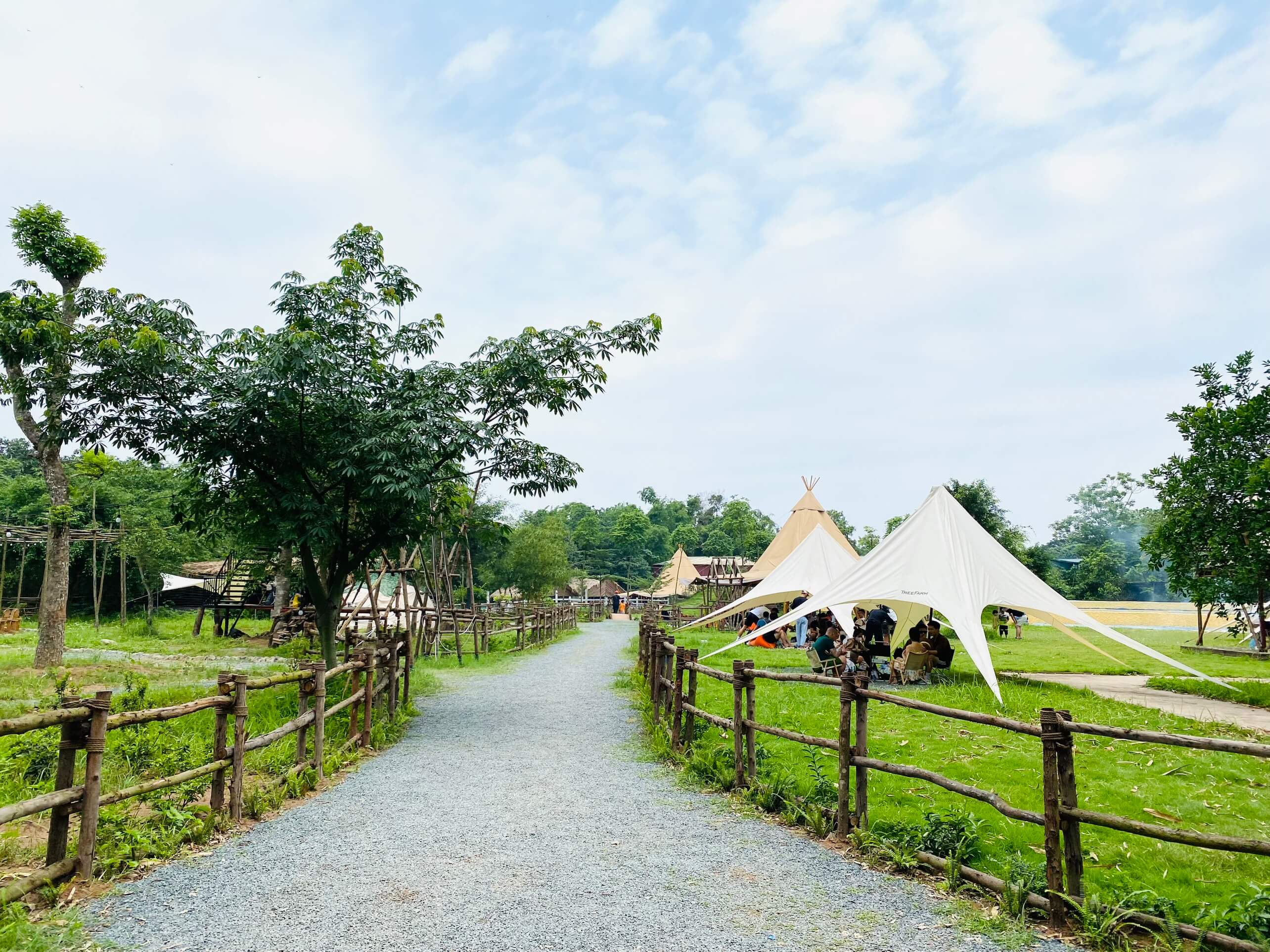 TreeFarm Coffee & Glamping – Địa điểm cắm trại hấp dẫn cho ngày cuối tuần tại Hà Nội