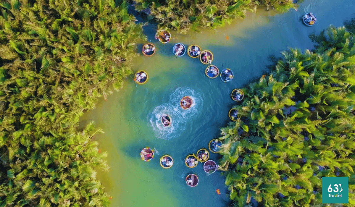 Rừng dừa Bảy Mẫu- “Miền Tây" thu nhỏ giữa lòng Quảng Nam