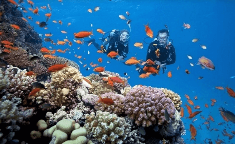 Bãi đá Cầu Mỵ