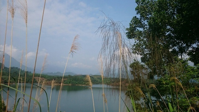 Hồ Trúc Bài Sơn