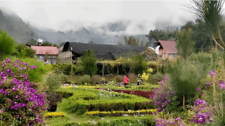 Valley of Flowers in Thai Giang Pho.