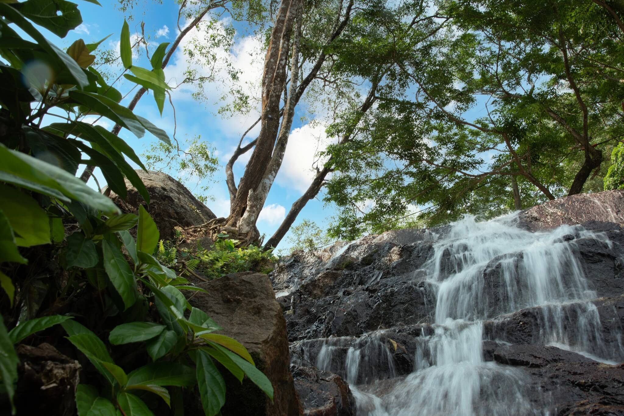 쿨 스프링 ​​- 르 패스