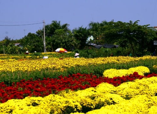 Me Linh Flower Village - Top 10 most beautiful flower villages in the North