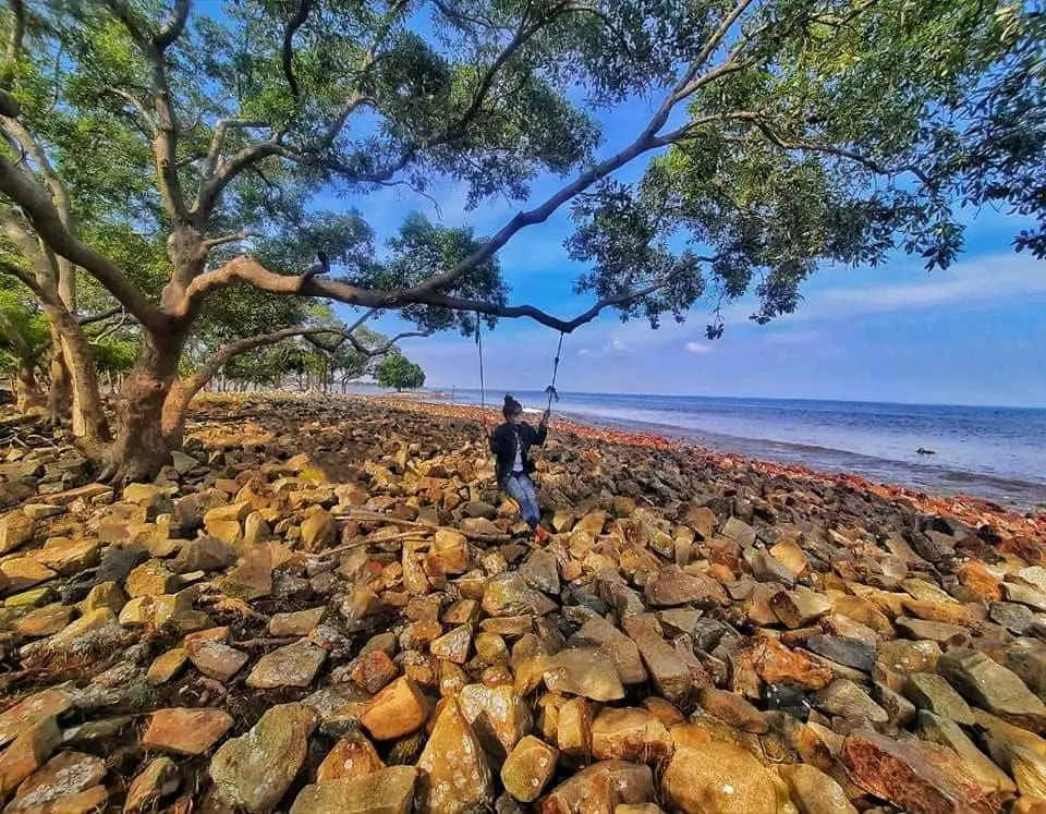 Nếu bạn có dịp ghé thăm vùng đất Tiền Giang, hãy thử đặt chân đến với biển Tân Thành Gò Công để có thể tận mắt chiêm ngưỡng cảnh sắc thiên nhiên độc đáo