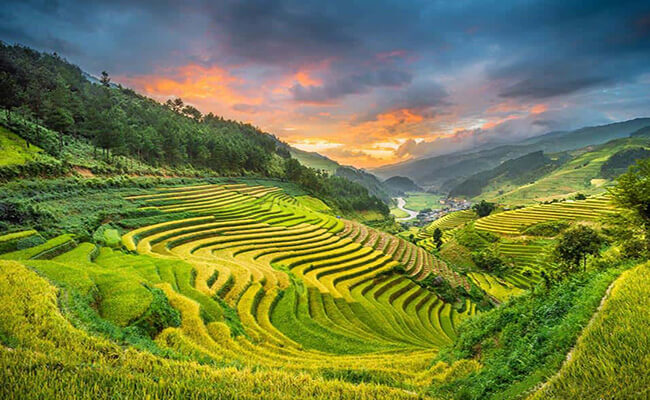 稲が実る季節の新和高原