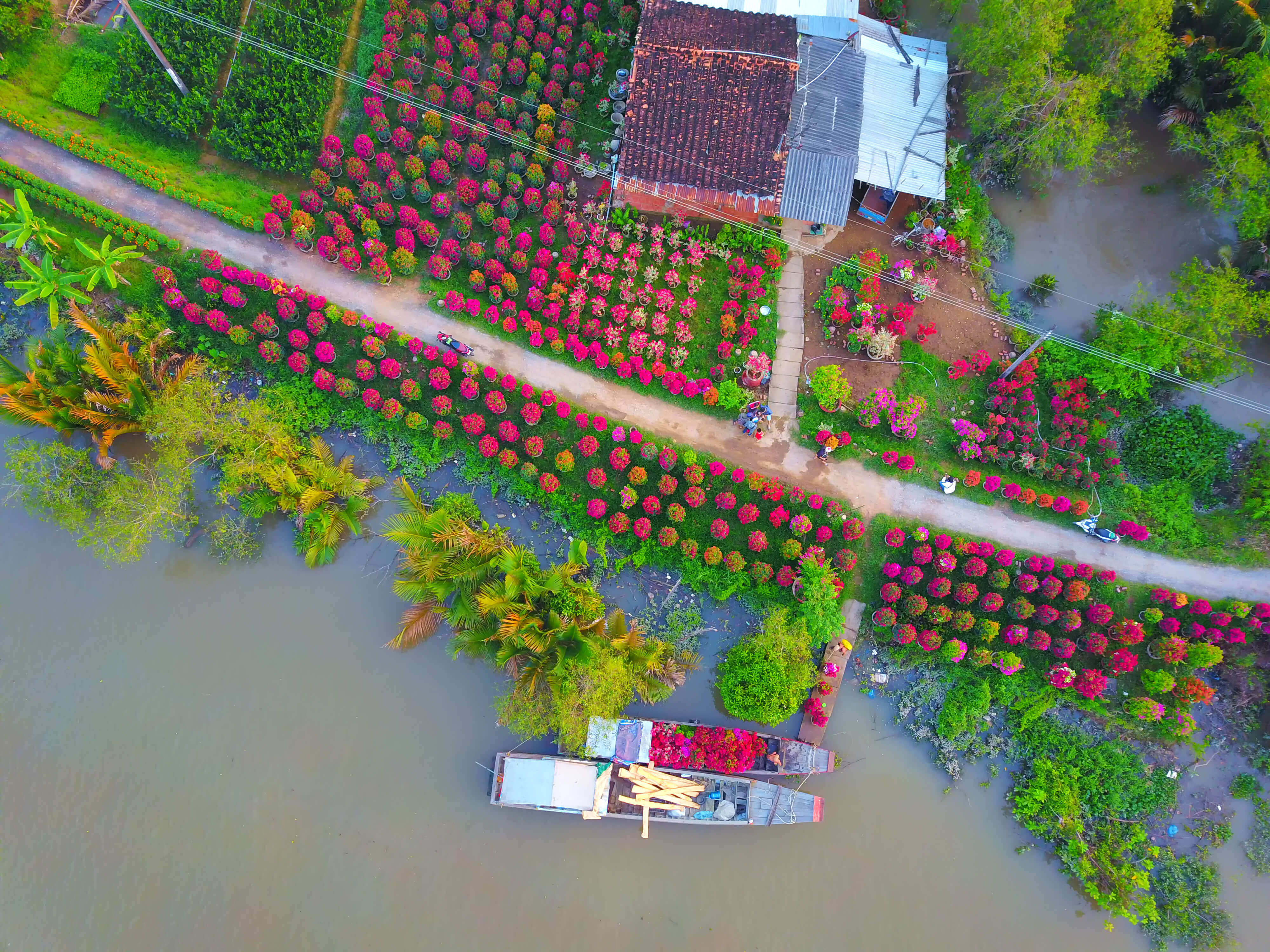 푸손 부겐빌레아 마을