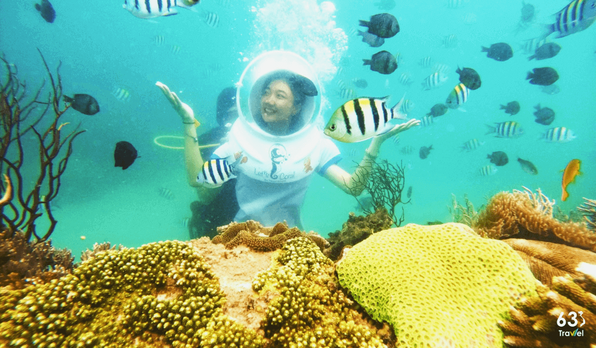 Trải nghiệm đi bộ dưới đáy biển ngắm san hô ở Nha Trang