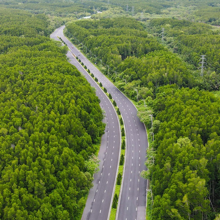 サックカンジオの森は、陸生および水生の動植物の体系のおかげで、非常に独特の美しさを持っています。