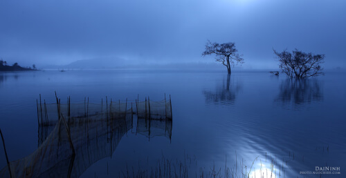 ダイニン湖の霧の朝