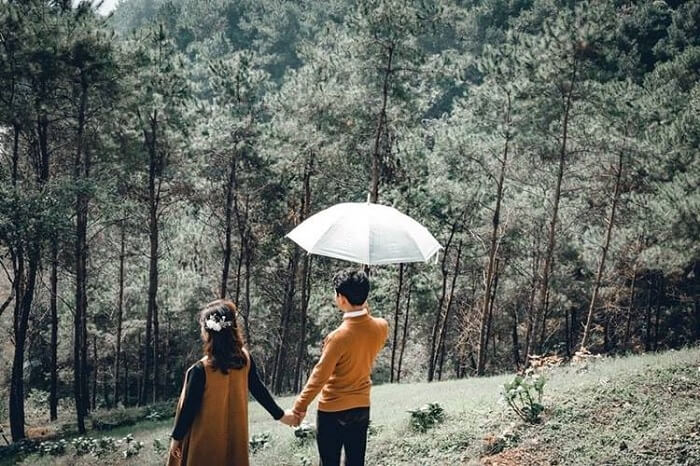 Đồi thông Thiên Sơn Thịnh An Gia